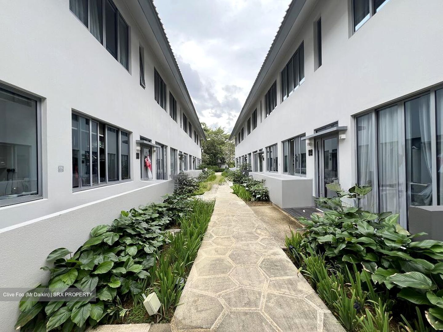 Greenwood Mews (D11), Terrace #499317391